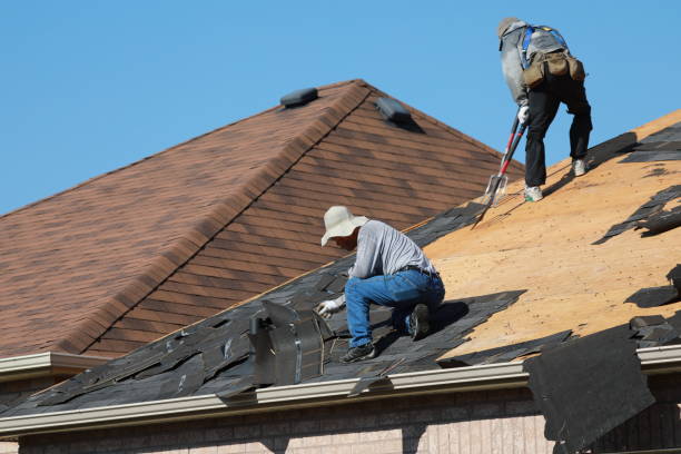 Best Emergency Roof Repair Services  in Columbia, IL
