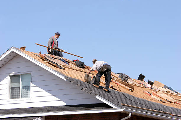 Best Solar Panel Roofing Installation  in Columbia, IL