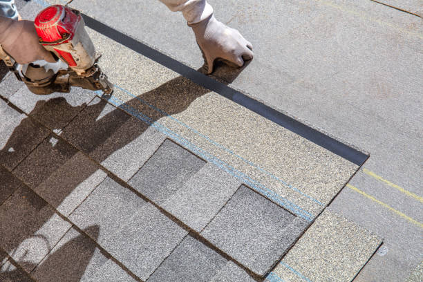 Best Roof Ventilation Installation  in Columbia, IL